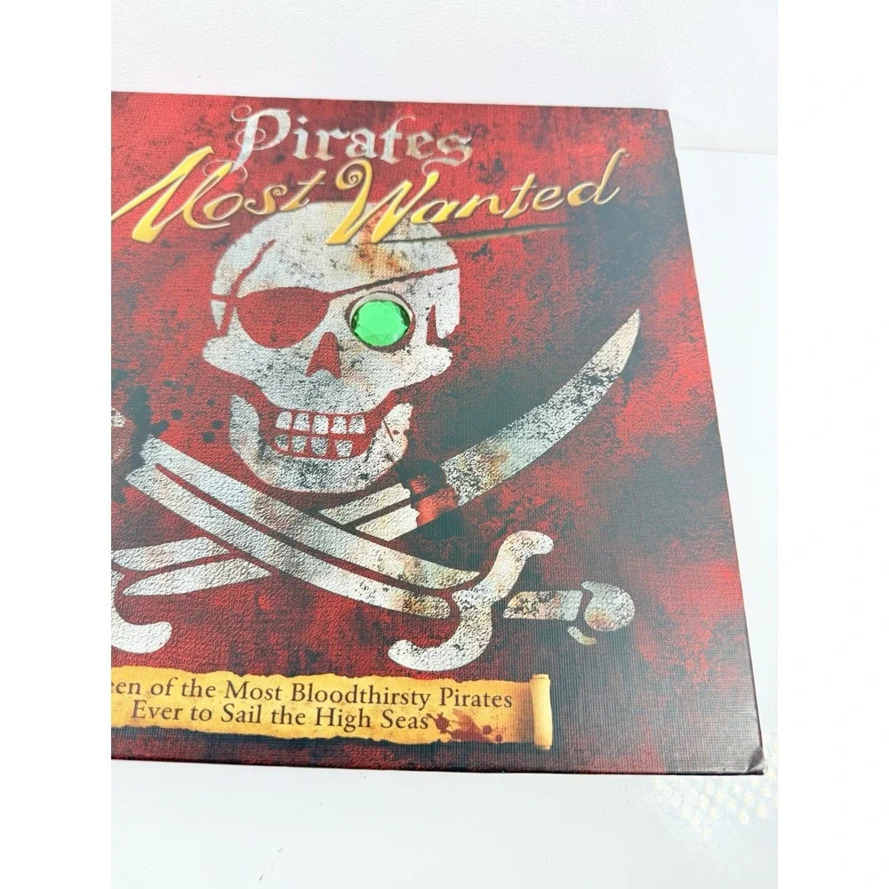 Pirates : Most Wanted by John Matthews (2007, Picture Book)